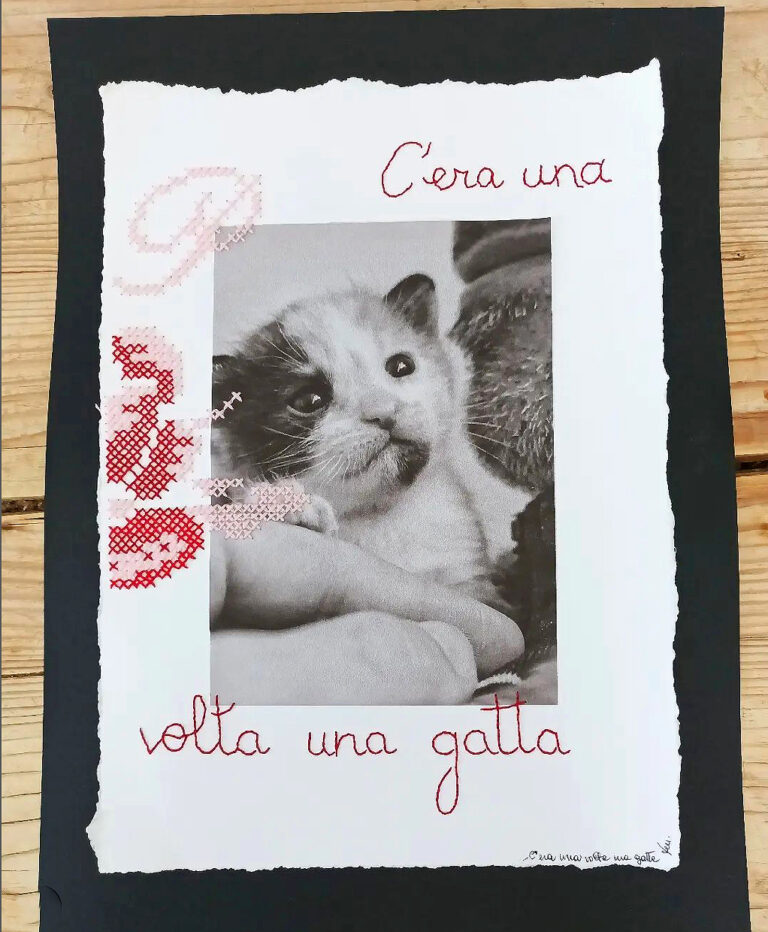 C’era una volta una gatta